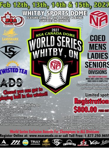 2027 DOME WS poster